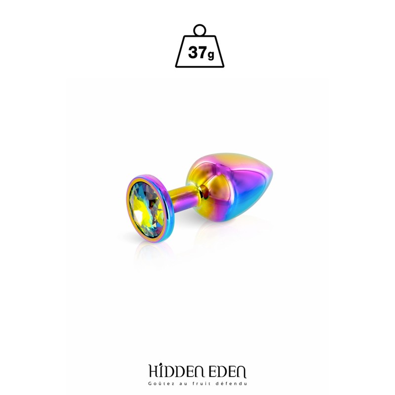 Plug bijou aluminium Rainbow XS - Hidden Eden Plug bijou aluminium Rainbow XS - Hidden Eden