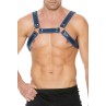 Harnais Buckle Bulldog bleu - Ouch!