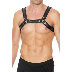 Harnais Buckle Bulldog noir - Ouch!